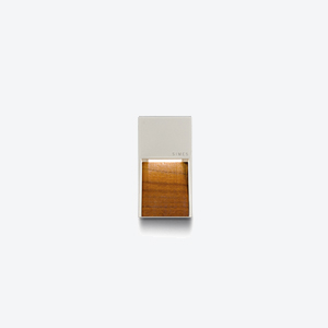 Outdoor Wall Sconce